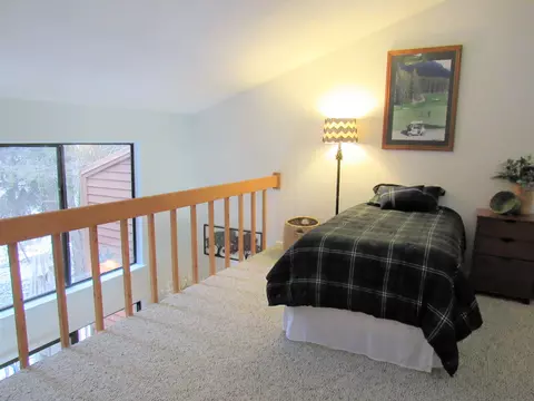 1196 Academic Way, Haslett, MI 48840 photo 22