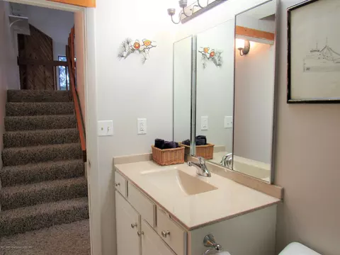 1196 Academic Way, Haslett, MI 48840 photo 12