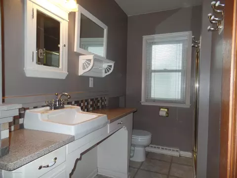 220 High St, Williamston, MI 48895 photo 13