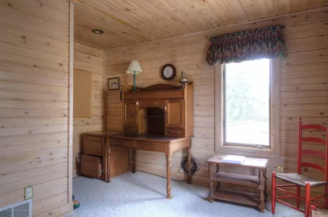 322 E Washington, Dimondale, MI 48821 photo 29