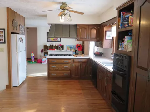 1494 E Webb Rd, Dewitt, MI 48820 photo 7