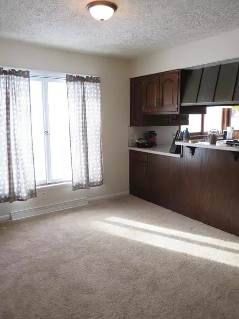 1494 E Webb Rd, Dewitt, MI 48820 photo 5