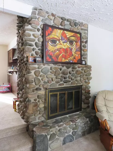 1494 E Webb Rd, Dewitt, MI 48820 photo 3