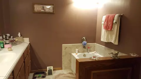 4221 W Britton Rd, Perry, MI 48872 photo 16