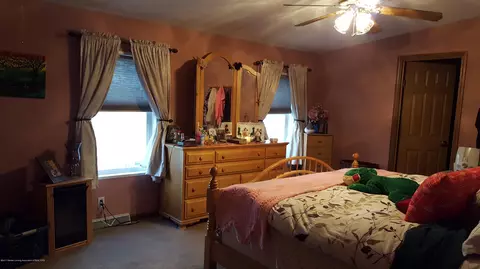 4221 W Britton Rd, Perry, MI 48872 photo 10