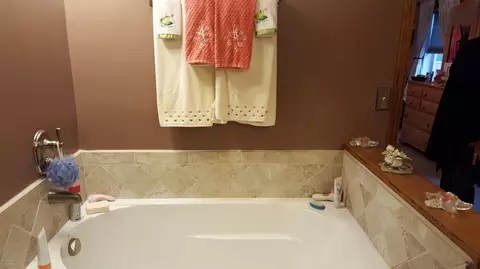 4221 W Britton Rd, Perry, MI 48872 photo 14