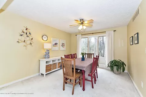 245 Ruby Way, Williamston, MI 48895 photo 7