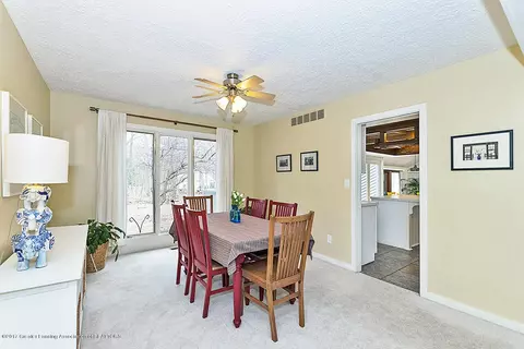245 Ruby Way, Williamston, MI 48895 photo 8