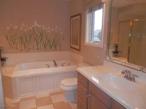 15353 Classic Dr, Bath, MI 48808 photo 19