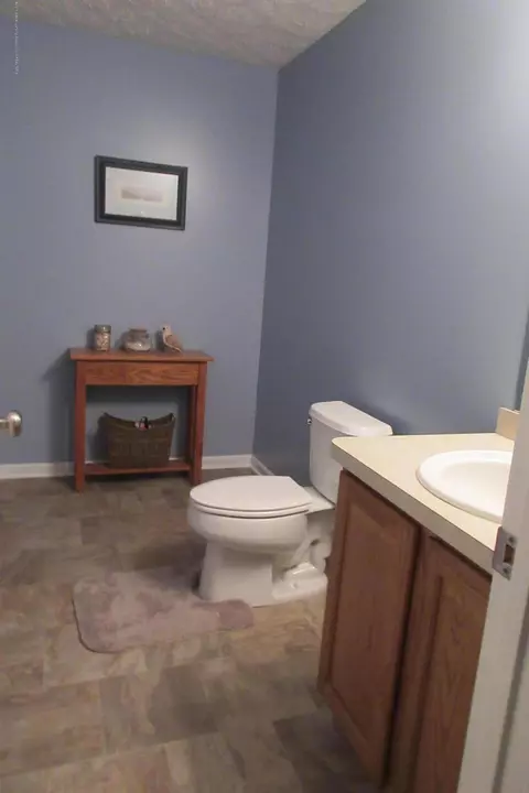 3902 Danbridge Rd, Lansing, MI 48906 photo 25