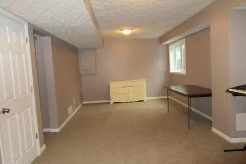 3902 Danbridge Rd, Lansing, MI 48906 photo 30