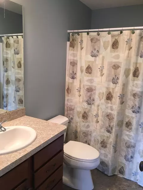 11740 Murano Dr, Dewitt, MI 48820 photo 22