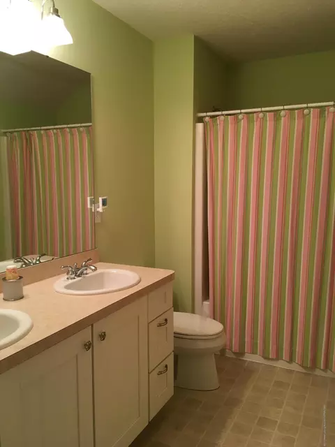 11740 Murano Dr, Dewitt, MI 48820 photo 19