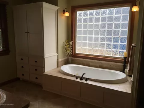 11740 Murano Dr, Dewitt, MI 48820 photo 9