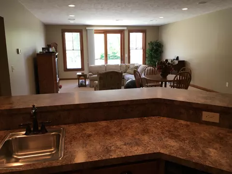 11740 Murano Dr, Dewitt, MI 48820 photo 23