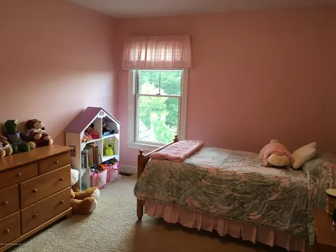 11740 Murano Dr, Dewitt, MI 48820 photo 18