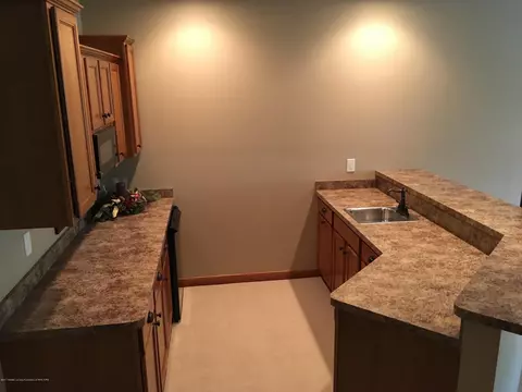 11740 Murano Dr, Dewitt, MI 48820 photo 24