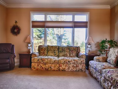 5542 Star Flower Dr, Haslett, MI 48840 photo 13