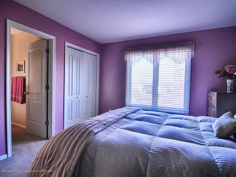 5542 Star Flower Dr, Haslett, MI 48840 photo 29