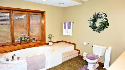 642 Harper Rd, Mason, MI 48854 photo 26