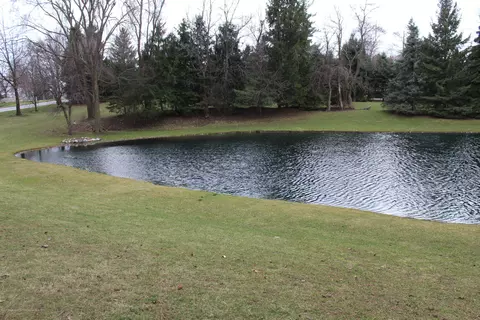 13909 Webster Rd, Bath, MI 48808 photo 3