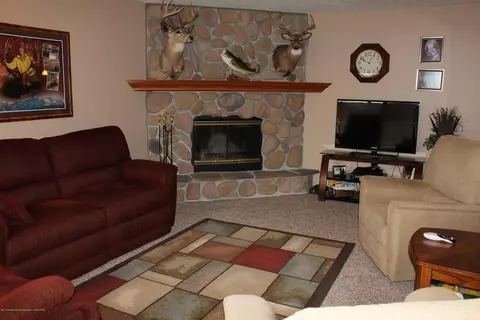 13909 Webster Rd, Bath, MI 48808 photo 9