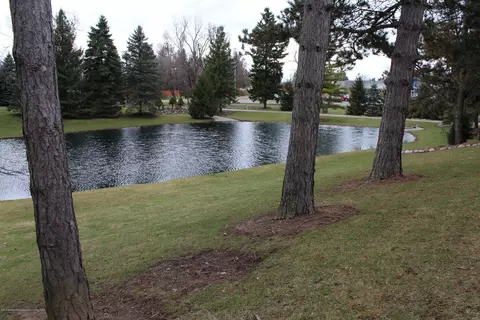 13909 Webster Rd, Bath, MI 48808 photo 24