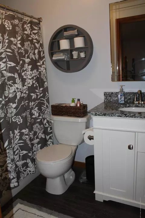 13909 Webster Rd, Bath, MI 48808 photo 17