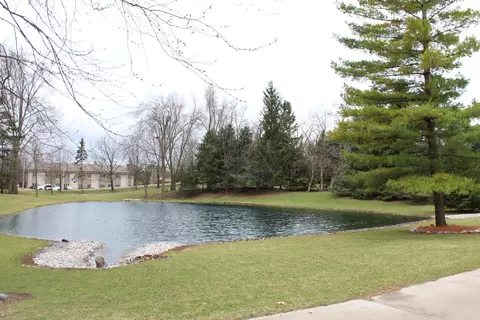 13909 Webster Rd, Bath, MI 48808 photo 32
