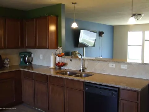 209 Primrose Ln, Mason, MI 48854 photo 2