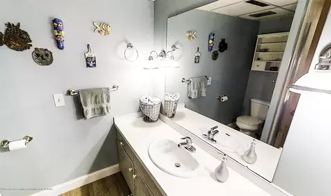 4591 Comanche, Okemos, MI 48864 photo 20