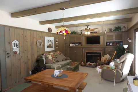 3415 Springbrook Ln, Lansing, MI 48917 photo 20