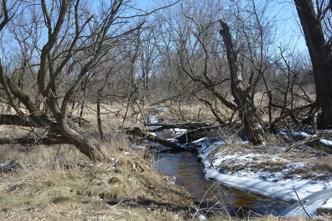12325 Center Rd, Bath, MI 48808 photo 39