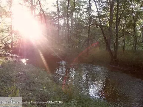 13601 S Grange Rd, Eagle, MI 48822 photo 21