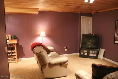 1043 Oakwood Dr, Dewitt, MI 48820 photo 20