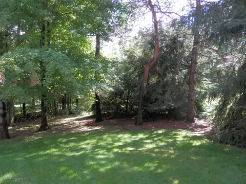1843 Cimarron Dr, Okemos, MI 48864 photo 45