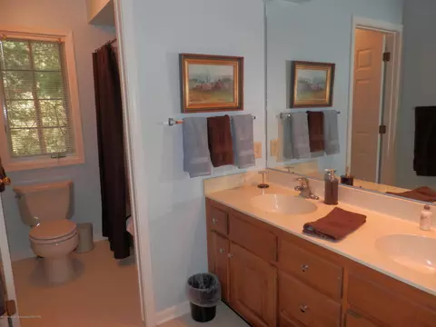 1843 Cimarron Dr, Okemos, MI 48864 photo 40