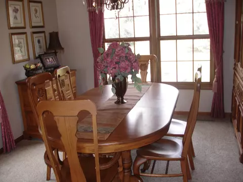 101 Spring Meadows Ln, Dewitt, MI 48820 photo 13
