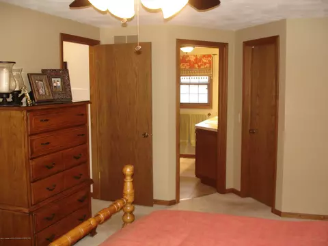 101 Spring Meadows Ln, Dewitt, MI 48820 photo 26