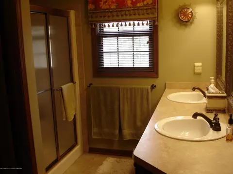 101 Spring Meadows Ln, Dewitt, MI 48820 photo 27