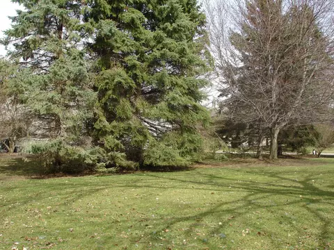 101 Spring Meadows Ln, Dewitt, MI 48820 photo 41
