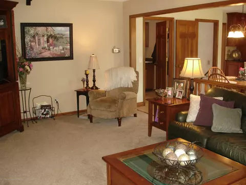 101 Spring Meadows Ln, Dewitt, MI 48820 photo 22