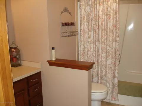 101 Spring Meadows Ln, Dewitt, MI 48820 photo 30