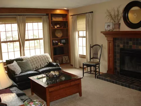 101 Spring Meadows Ln, Dewitt, MI 48820 photo 17