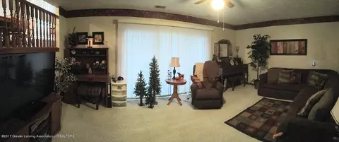 12832 Ontonagon, Dewitt, MI 48820 photo 18