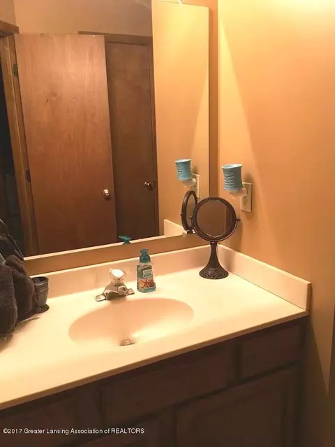 12832 Ontonagon, Dewitt, MI 48820 photo 25