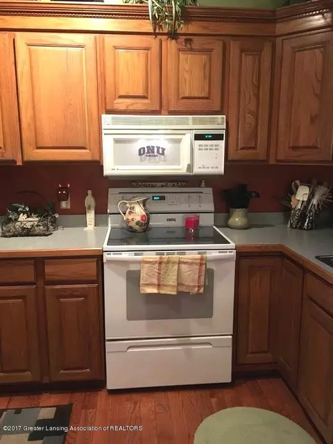 12832 Ontonagon, Dewitt, MI 48820 photo 8