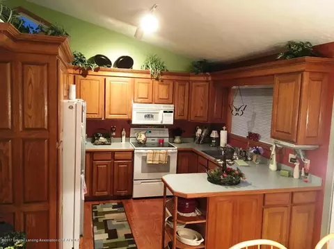 12832 Ontonagon, Dewitt, MI 48820 photo 12