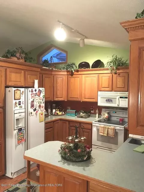 12832 Ontonagon, Dewitt, MI 48820 photo 6