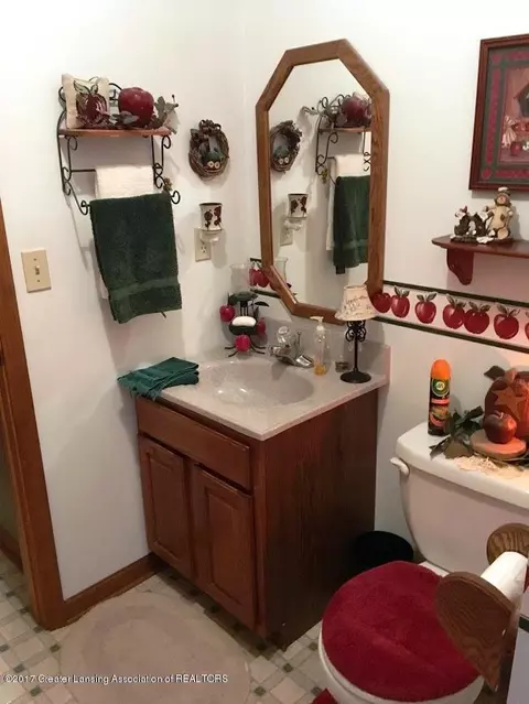 12832 Ontonagon, Dewitt, MI 48820 photo 14